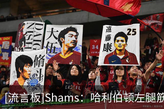 [流言板]Shams：哈利伯顿左腿筋已是第四次受伤，预计可能缺席数周